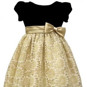 Black & Gold Velvet-Bodice Dress